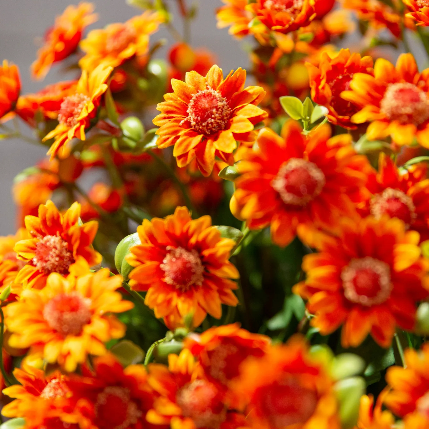 💥Last Day Each Only $3.2- Artificial Outdoor Sunset Mums Flowers - UV resistant, Waterproof, Windproof