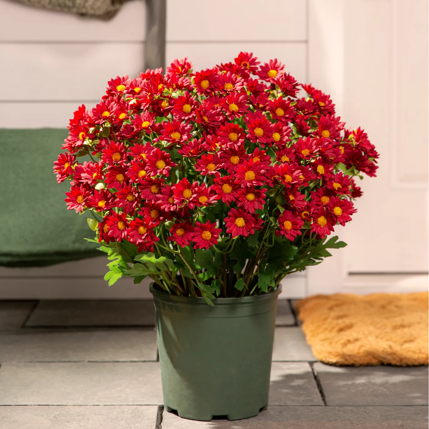 💥Last Day Each Only $3.2- Artificial Outdoor Sunset Mums Flowers - UV resistant, Waterproof, Windproof