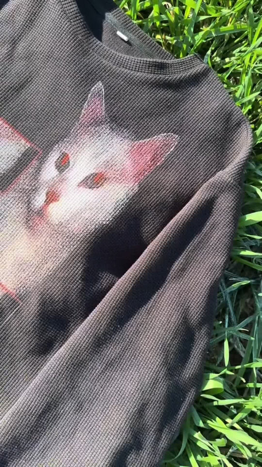 "evil cat" thermal