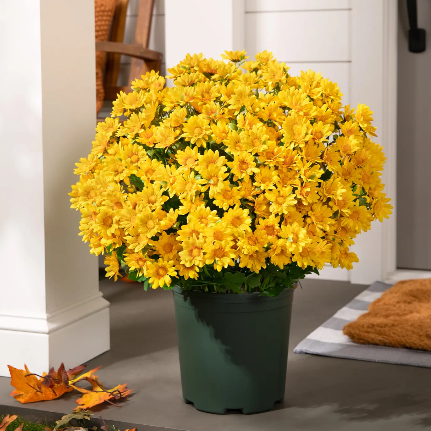 💥Last Day Each Only $3.2- Artificial Outdoor Sunset Mums Flowers - UV resistant, Waterproof, Windproof
