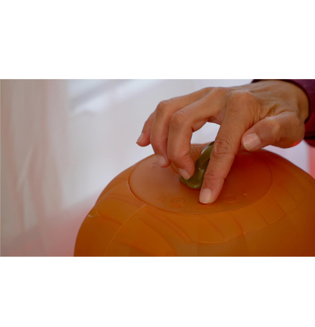 Jabberin' Jack Talking Pumpkin